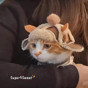 猫咪漏耳朵毛绒帽子缅因英短头饰柯基雪纳瑞比熊外出仿羊皮飞机帽