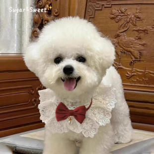 狗狗结婚装饰婚礼领结红色围兜口水巾围脖小比熊幼犬项圈配饰品