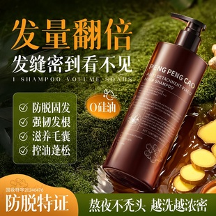 生姜侧柏叶防脱发洗发水增发密发固发去屑止痒滋养养护头发洗发露