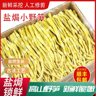 盐焗小野笋杭州天目山野生笋干竹笋干老鸭煲小野笋扁尖笋嫩笋尖