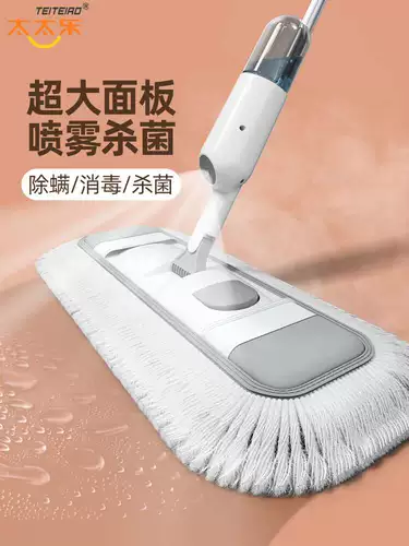 Большая швабра, спрей для домашнего использования, коллекция 2021