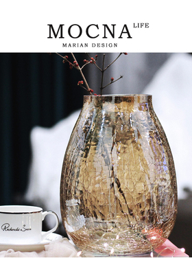 Mlife·Coloured·花瓶冰轻奢玻璃裂纹插花器透明装饰家居 | 琉光