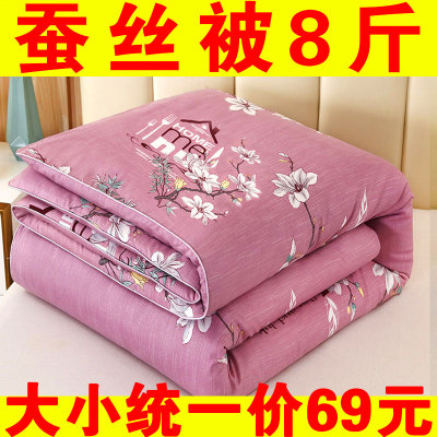 特价蚕丝被子棉被冬被芯冬天加厚保暖双人春秋被芯冬季学生宿舍被