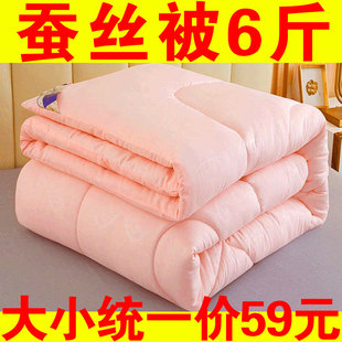 特价 蚕丝被子冬被冬天加厚棉被学生宿舍春秋被芯单双人空调夏凉被