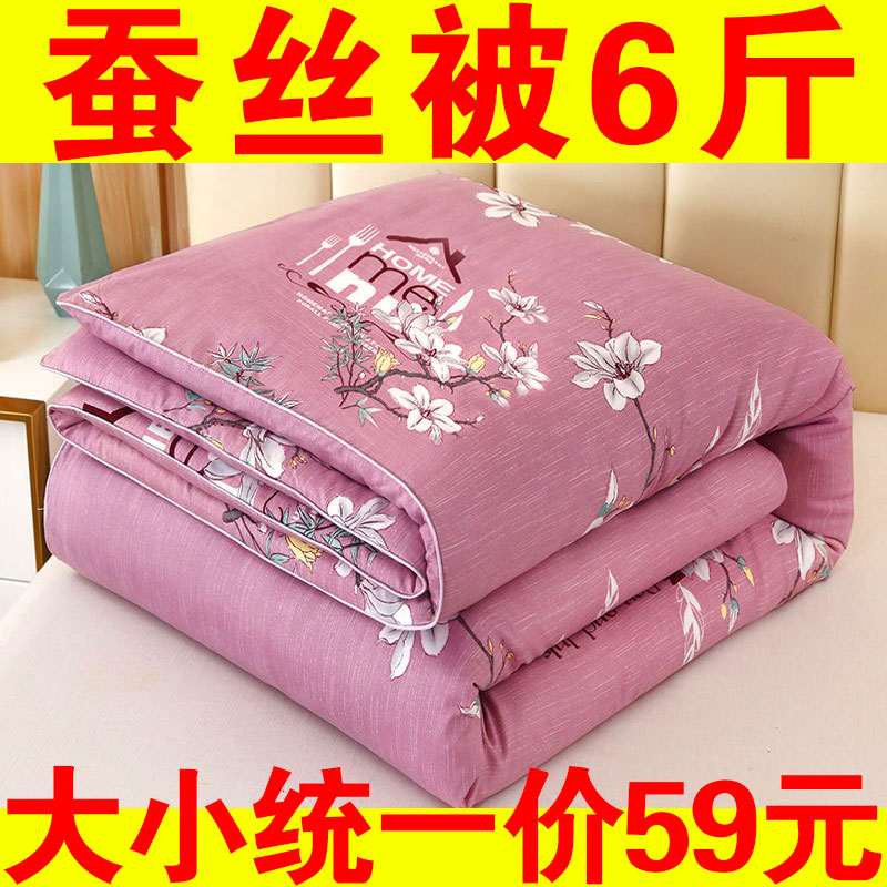 特价蚕丝被子冬被冬天加厚棉被学生宿舍春秋被芯单双人空调夏凉被