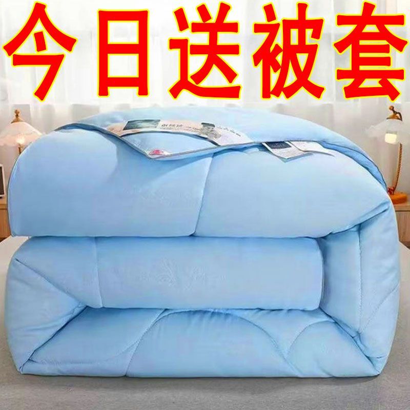 特价蚕丝被空调被夏凉被冬天加厚保暖冬被芯单双人春秋被宿舍棉被
