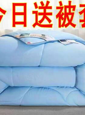 特价蚕丝被空调被夏凉被冬天加厚保暖冬被芯单双人春秋被宿舍棉被