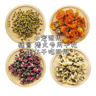 仓鼠金丝熊小宠可食用干花白菊野菊花清热祛火预防感冒花草垫料