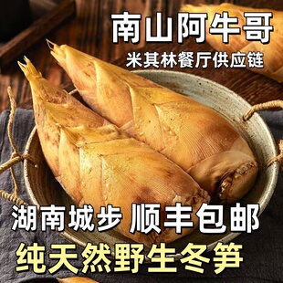 顺丰包邮湖南城步新鲜小冬笋两头尖冬笋现挖竹笋蔬菜楠竹笋黄泥笋