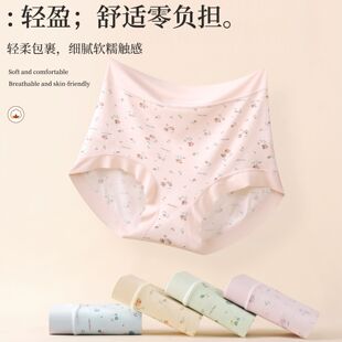 透气软糯莫代尔女士内裤高腰无痕舒适包臀透气底裆大码小碎花短裤
