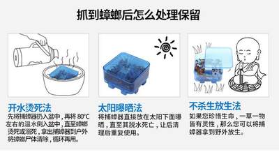 灭抓蟑螂药诱大容量捕捉器克星家用除捉捕大小通杀蟑螂屋神器盒子