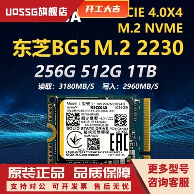 东芝铠侠BG5bg4 1T 512GM.2 2230固态硬盘掌机硬盘相机CFE卡sn740