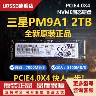 PM9A1 PM981a 512G 1T 2T M2 NVMe笔记本台式机固态硬盘SN750