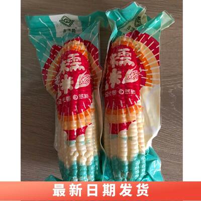 新货鑫洪腾甜糯玉米黄糯10根 香甜粘糯加热即食小玉米棒苞米粗粮