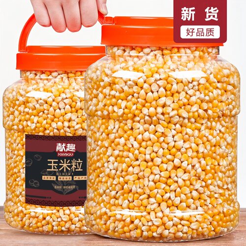 玉米粒1500g罐装家用爆米花影院
