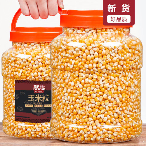 玉米粒1500g罐装家用爆米花影院