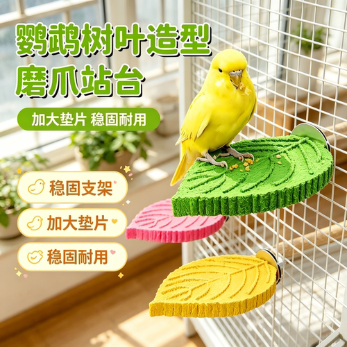 宠帮仕鹦鹉树叶磨爪不掉渣站杆
