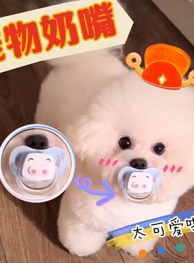 狗狗专用安抚奶嘴磨牙解闷