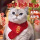 猫咪围脖小狗可爱新品 毛线宠物围巾围兜狗狗保暖配饰红色喜庆新年