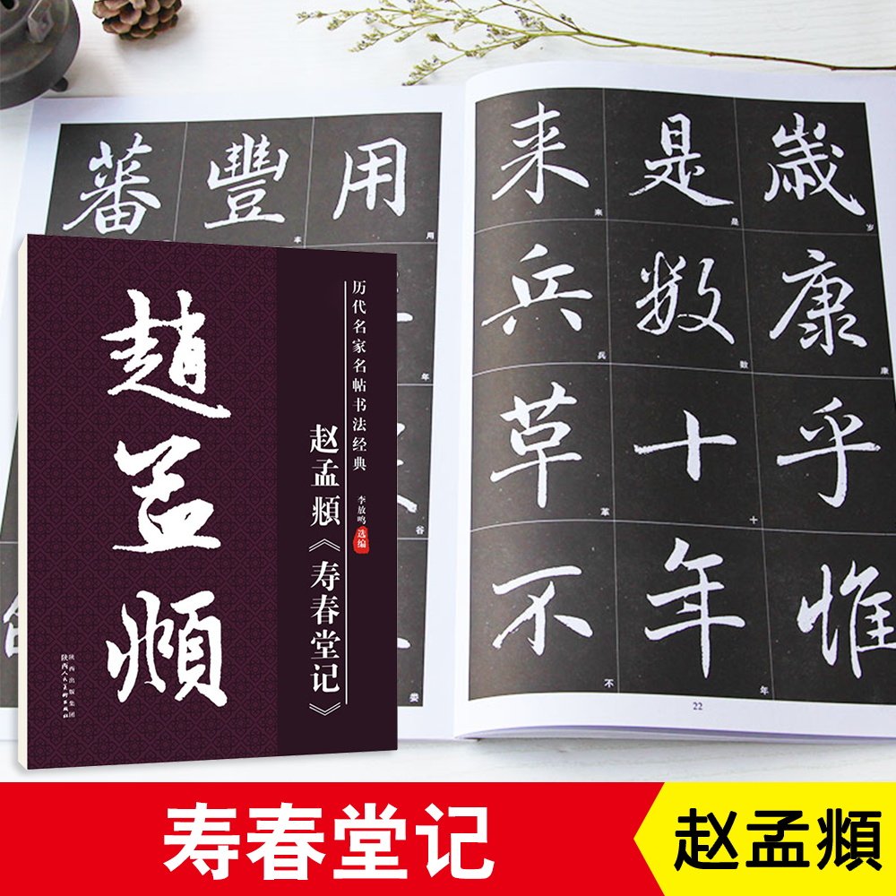 赵孟頫寿春堂记楷书毛笔字帖黑底放大版8开毛笔字帖李放鸣字帖碑帖古帖学生成人自学培训班教程教材字帖