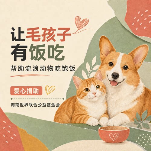 救助毛孩子猫狗让它们不再流浪