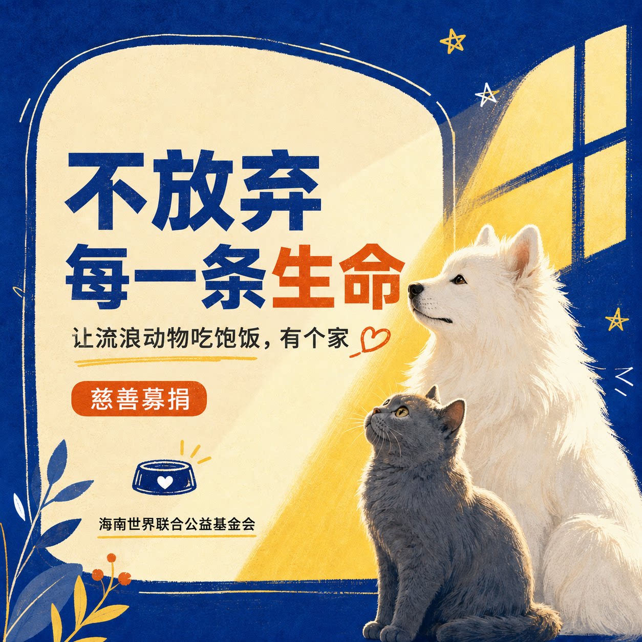 爱心捐款保护流浪动物毛孩子猫狗图片