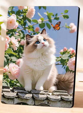 治愈系蓝眼布偶猫装饰摆台客厅玄关桌面清新装饰摆件