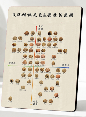 文玩核桃走色&密度关系图装饰摆台文玩玩家桌面参考装饰摆件