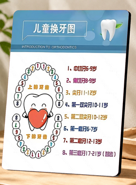 儿童换牙图科普装饰摆件牙科口腔诊所前台桌面展示摆台