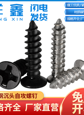 黑色镀镍平头自攻螺丝钉沉头微型电子笔记本小螺丝钉M1.2M1.4M3