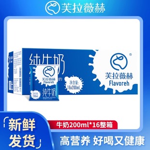新疆特产芙拉薇赫纯牛奶袋装 整箱全脂生牛乳补钙蛋白学生儿童早餐