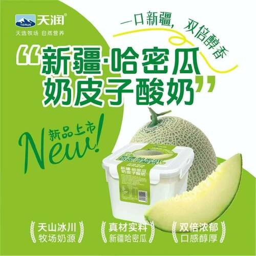 天润哈密瓜奶皮子酸奶800g