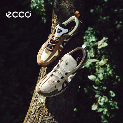 ECCO 840163