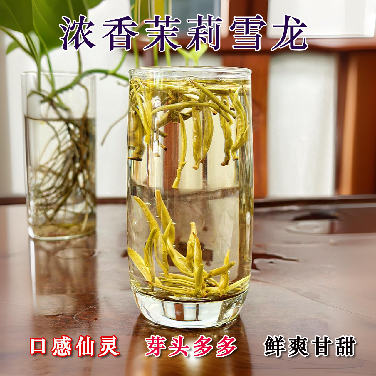 2026新茶横县茉莉花茶浓香耐泡