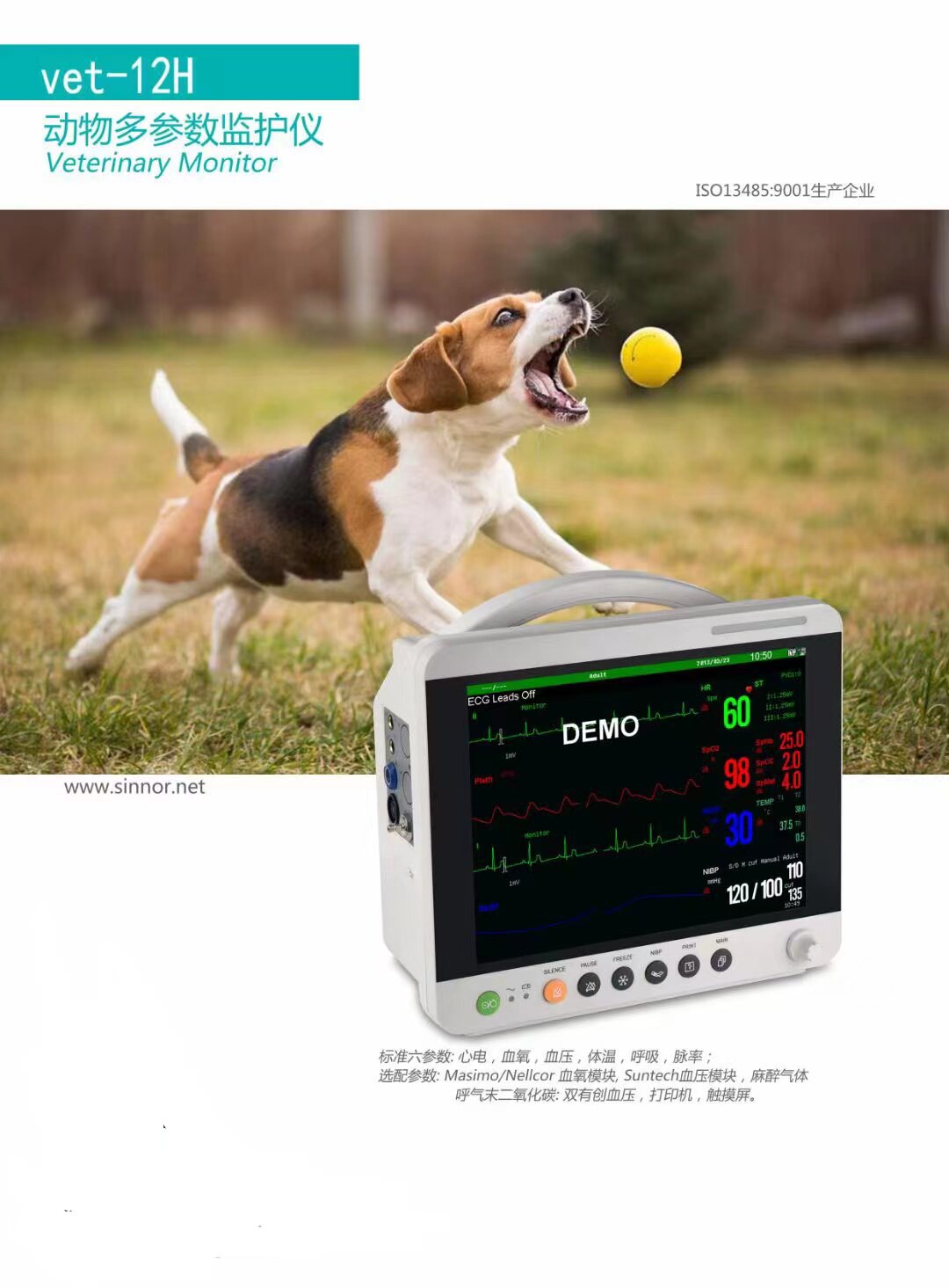 施博瑞宠物医院多参数监护仪兽用心电监测仪动物大屏手术监护