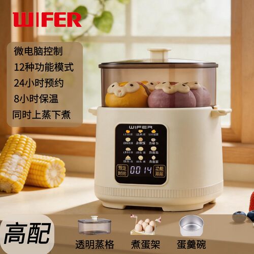 家用小型煮蛋器新款蒸煮一体