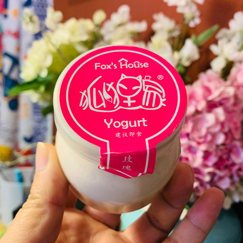 特色小吃酸奶酪狐狸家