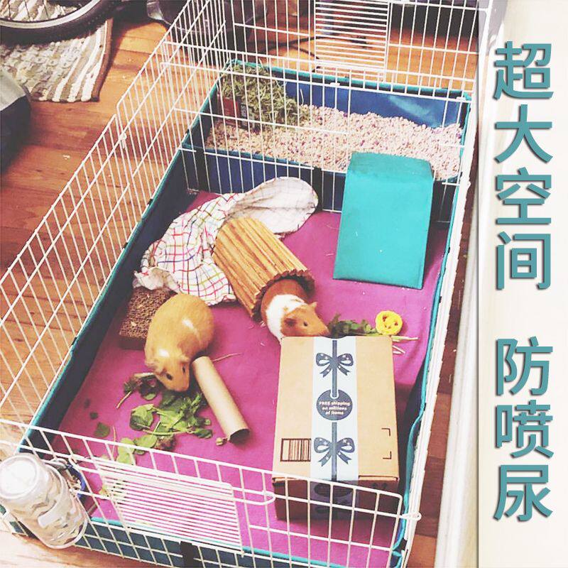 天竺鼠笼子价格 天竺鼠笼子图片 星期三
