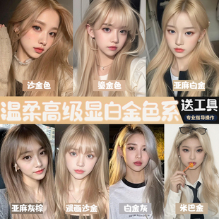 2024新款 漫画沙金色系流行色自己在家染白金奶茶砂金亚麻灰棕染剂