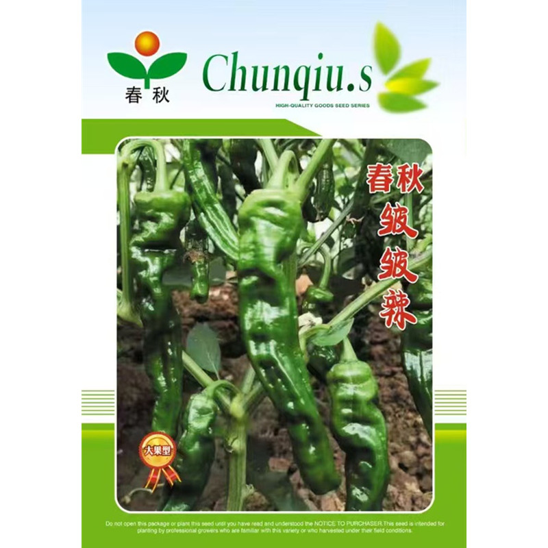 春秋皱皮辣椒种子青红两用辣香