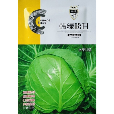韩绿松甘甘蓝种子水果甘蓝高产