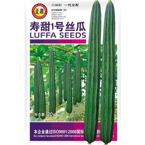 寿甜1号丝瓜种子口感脆甜