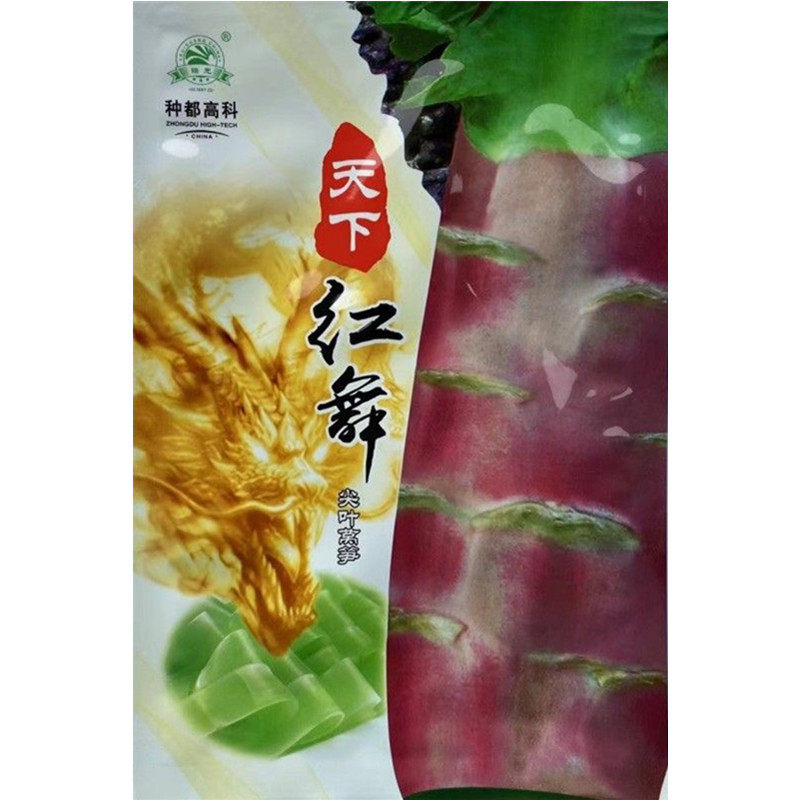 天下红舞莴笋种子香味浓质脆嫩