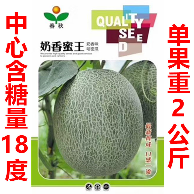 奶香蜜王哈密瓜种籽香甜网纹瓜
