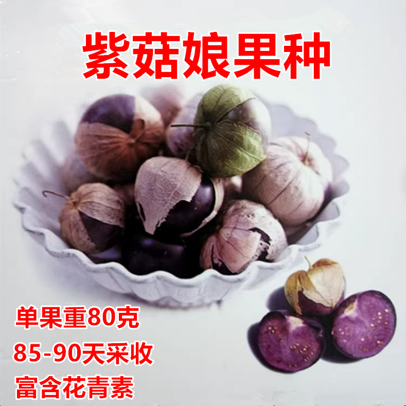紫菇娘果种子口感甜脆