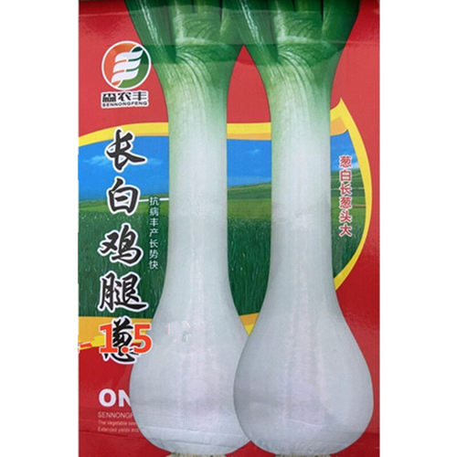 长白鸡腿葱适应性广耐寒力强