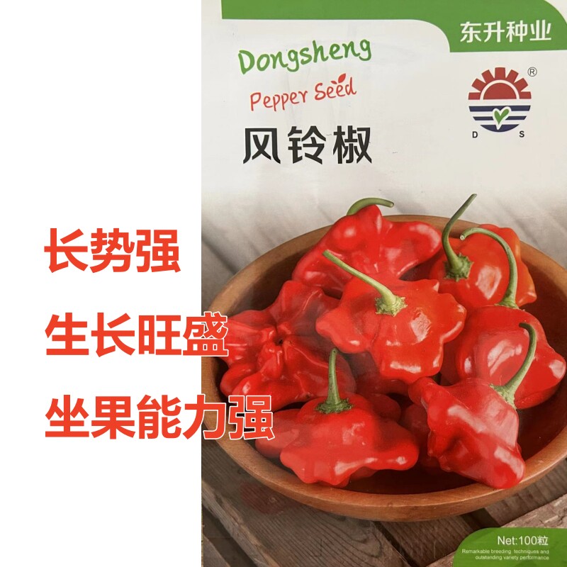 风铃小辣椒种子灯笼椒早熟观赏椒菜种籽四季播阳台盆栽蔬菜种子