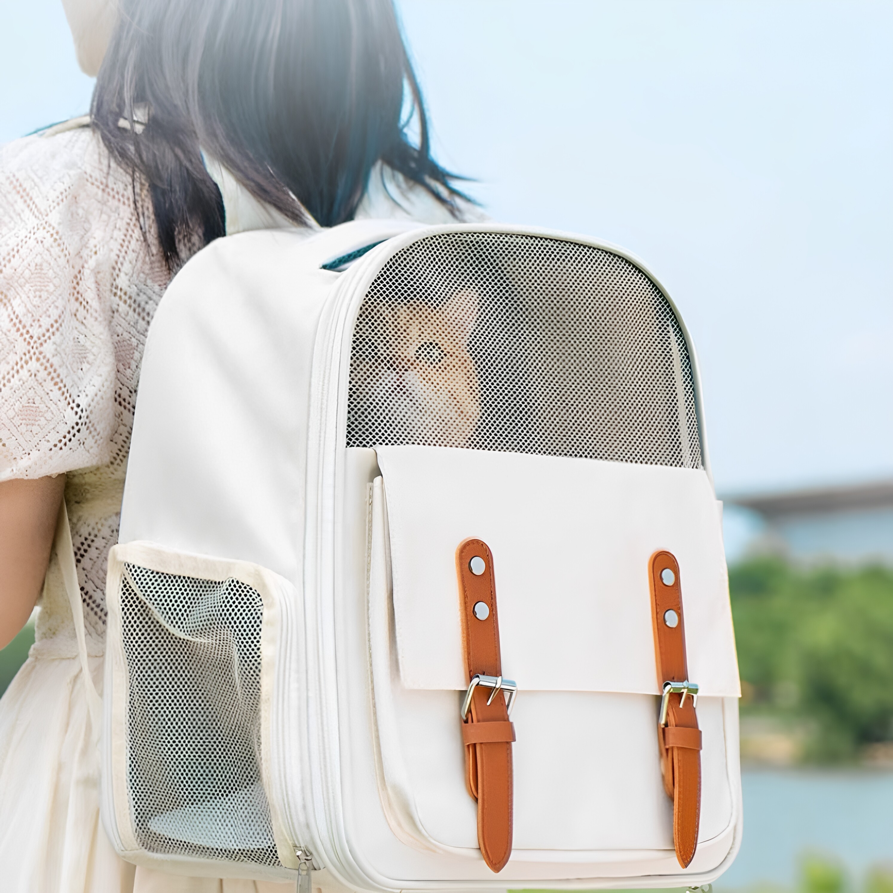 猫背包大容量可折叠外出可爱网红猫咪多功能透气猫包便携户外