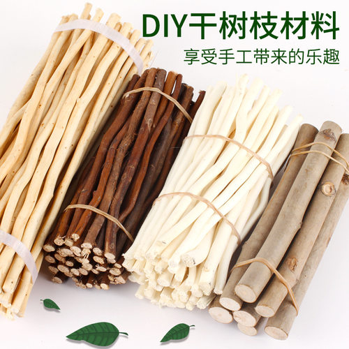 儿童手工树枝松果树叶干花木片