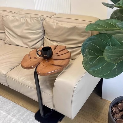 小红书热门推荐：实木龟背竹边几